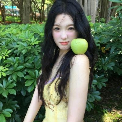 龙牌之谜