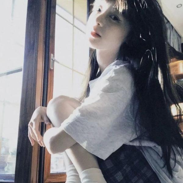 金鹰宝藏